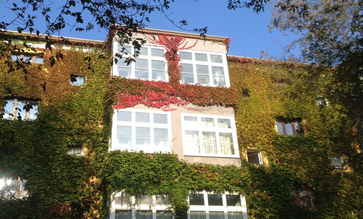 Hose with leaves, Berlin Prenzlauerberg