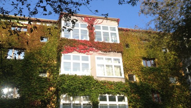 Hose with leaves, Berlin Prenzlauerberg