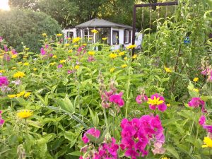 Garden with flowers and small house