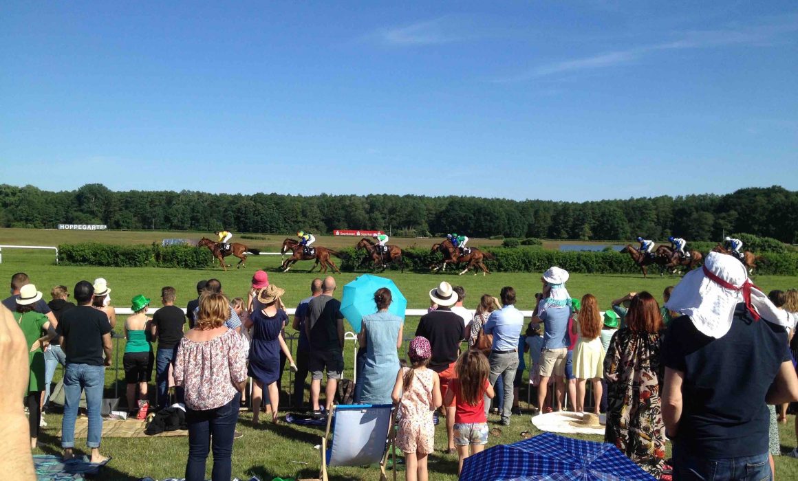 People watching as horses race past